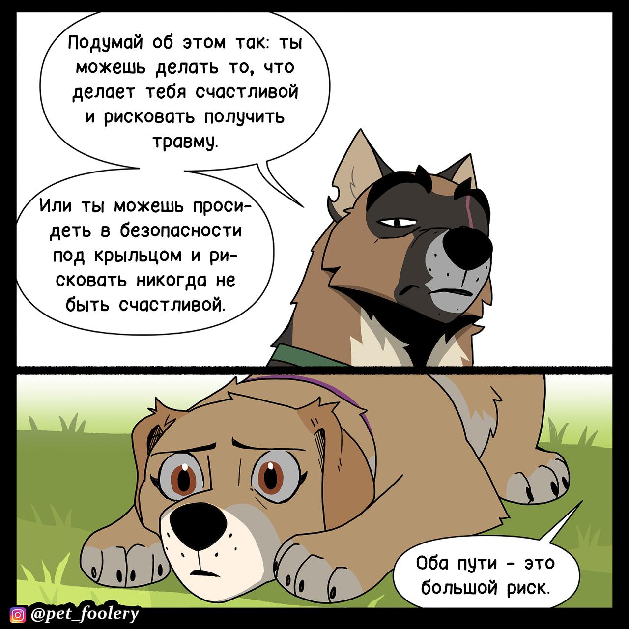 Манга Пикси и Брут - Глава 311 Страница 5