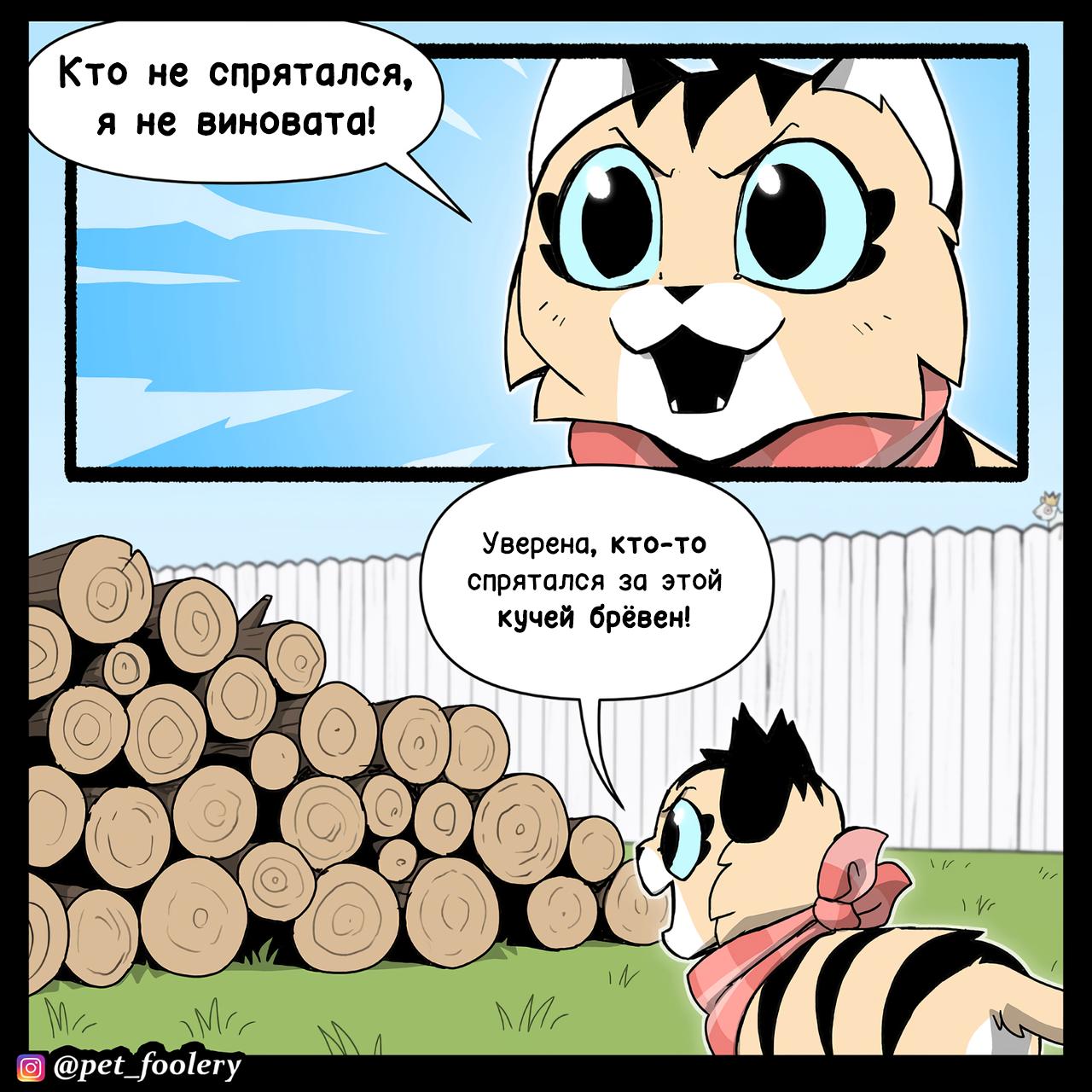 Манга Пикси и Брут - Глава 313 Страница 1