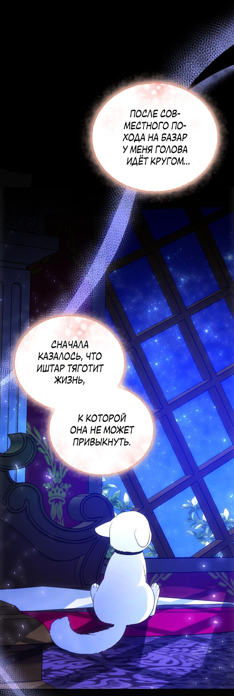 Манга Отныне я любимая кошка султана - Глава 22 Страница 42