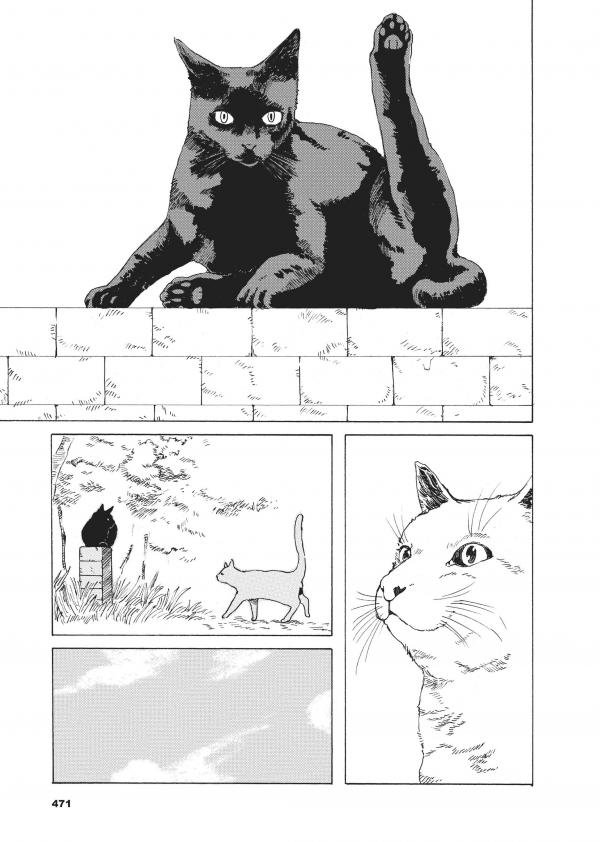 Манга Гуляющий кот - Глава 35 Страница 11