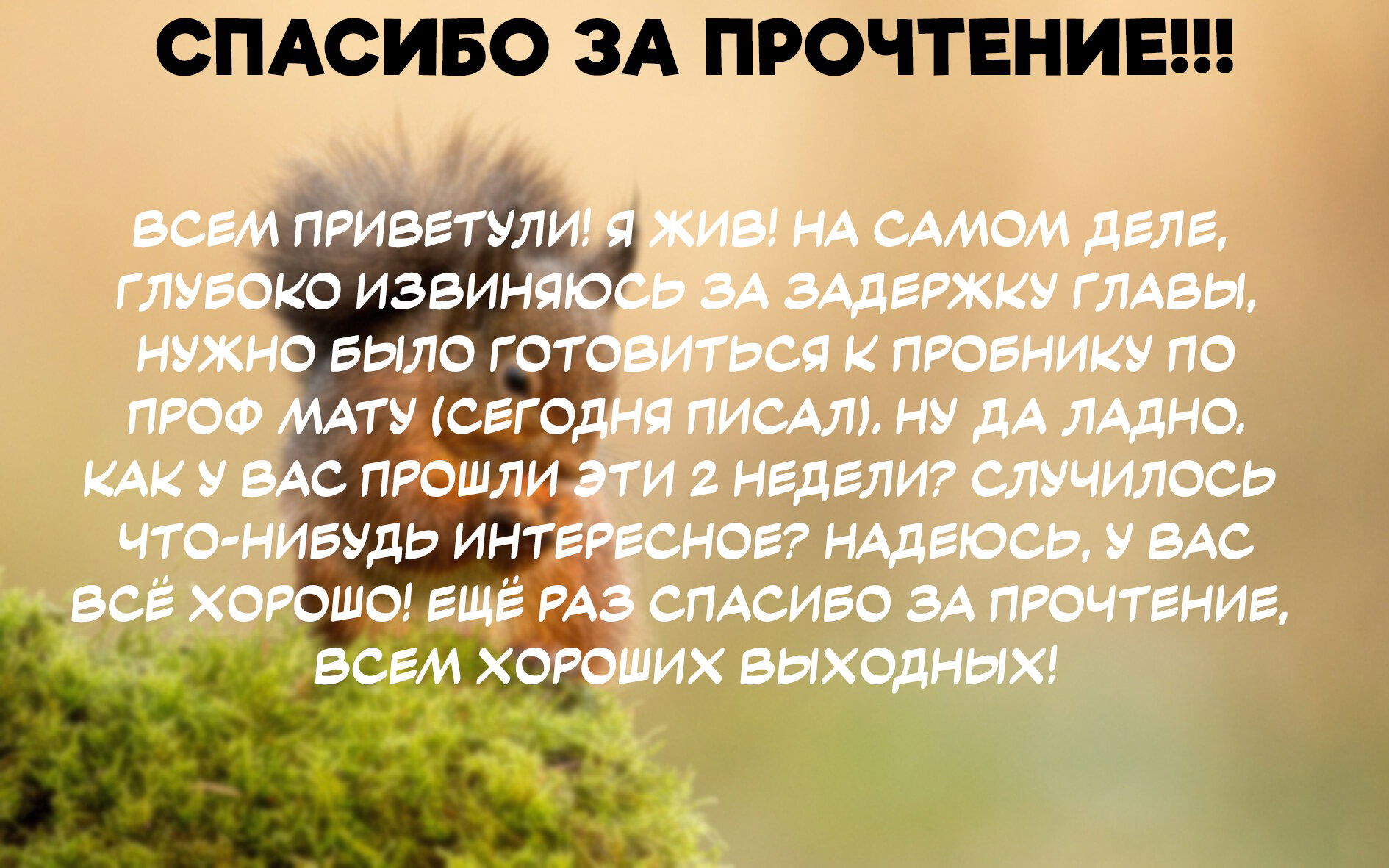 Манга Предложение руки и сердца молодой леди Кирабоши - Глава 11 Страница 11