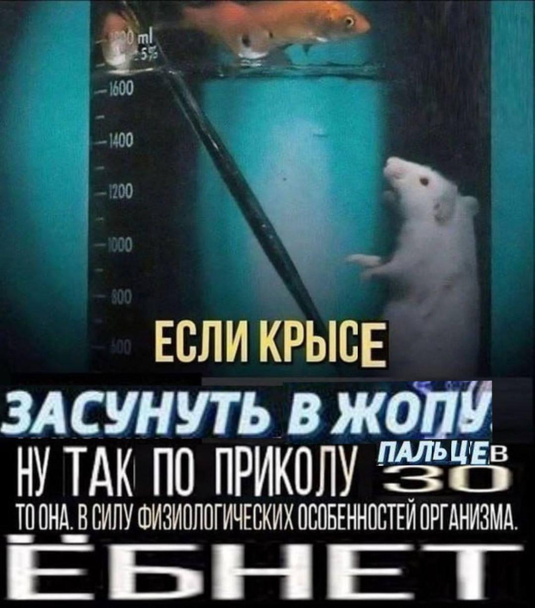 Манга Заяц Бацу - Глава 15 Страница 15