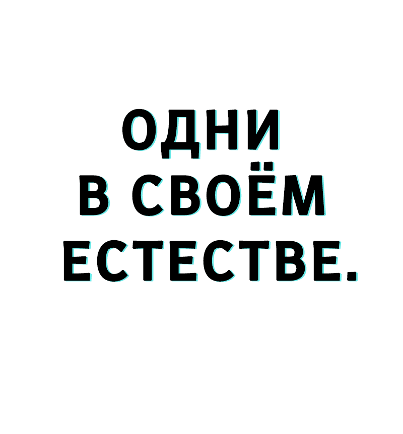 Манга Ведите себя как подобает боссу, господин Сваллоу! - Глава 10 Страница 63