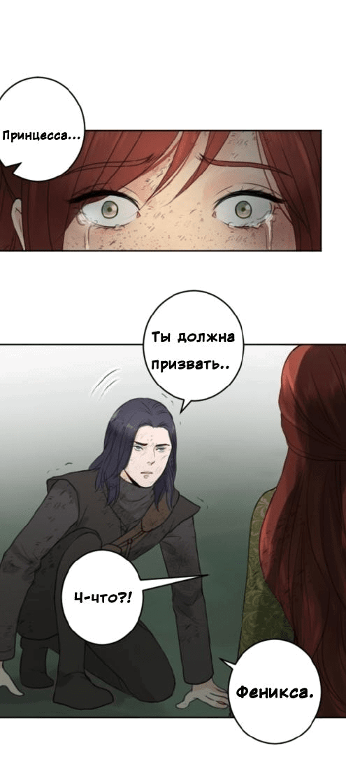 Манга Принц Шёлка и Шипа - Глава 49 Страница 13