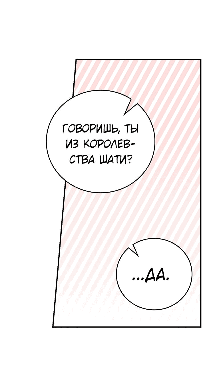 Манга Найти сбежавшую принцессу - Глава 3 Страница 27