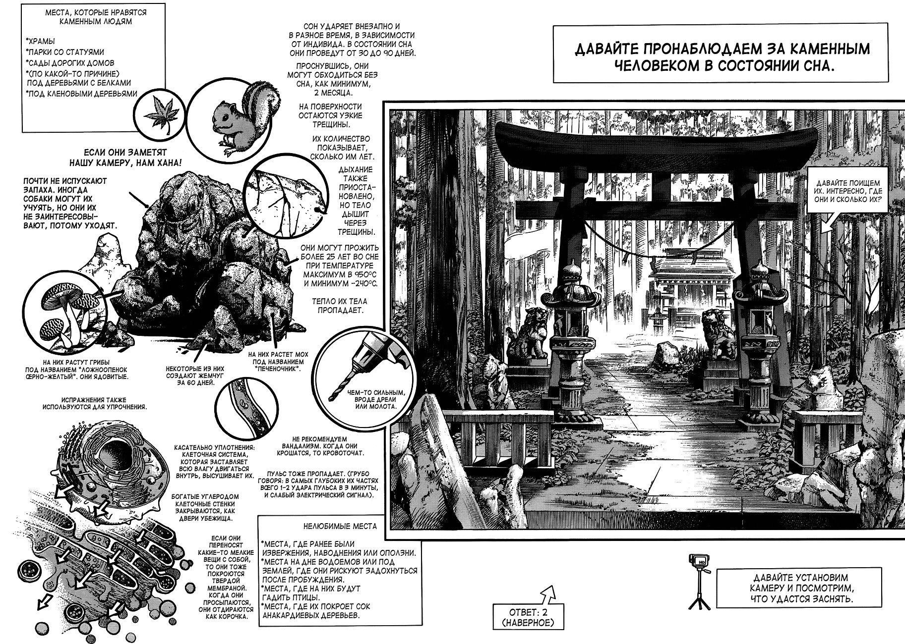 Манга Невероятные приключения ДжоДжо Часть 8: Джоджолион - Глава 46 Страница 2