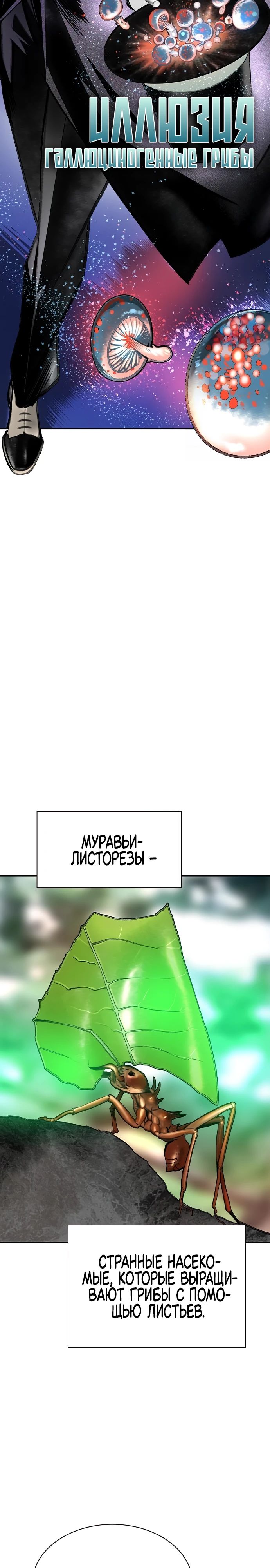 Манга Сок джунглей - Глава 149 Страница 8