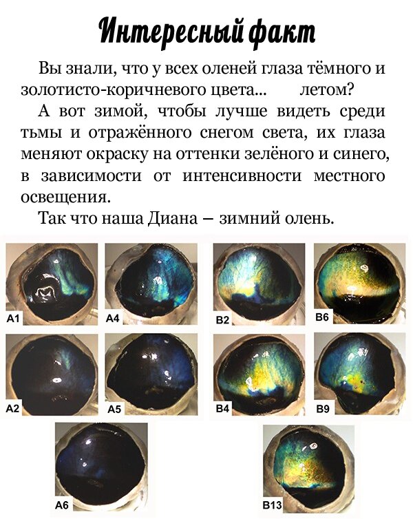 Манга План по созданию гарема - Глава 48 Страница 6