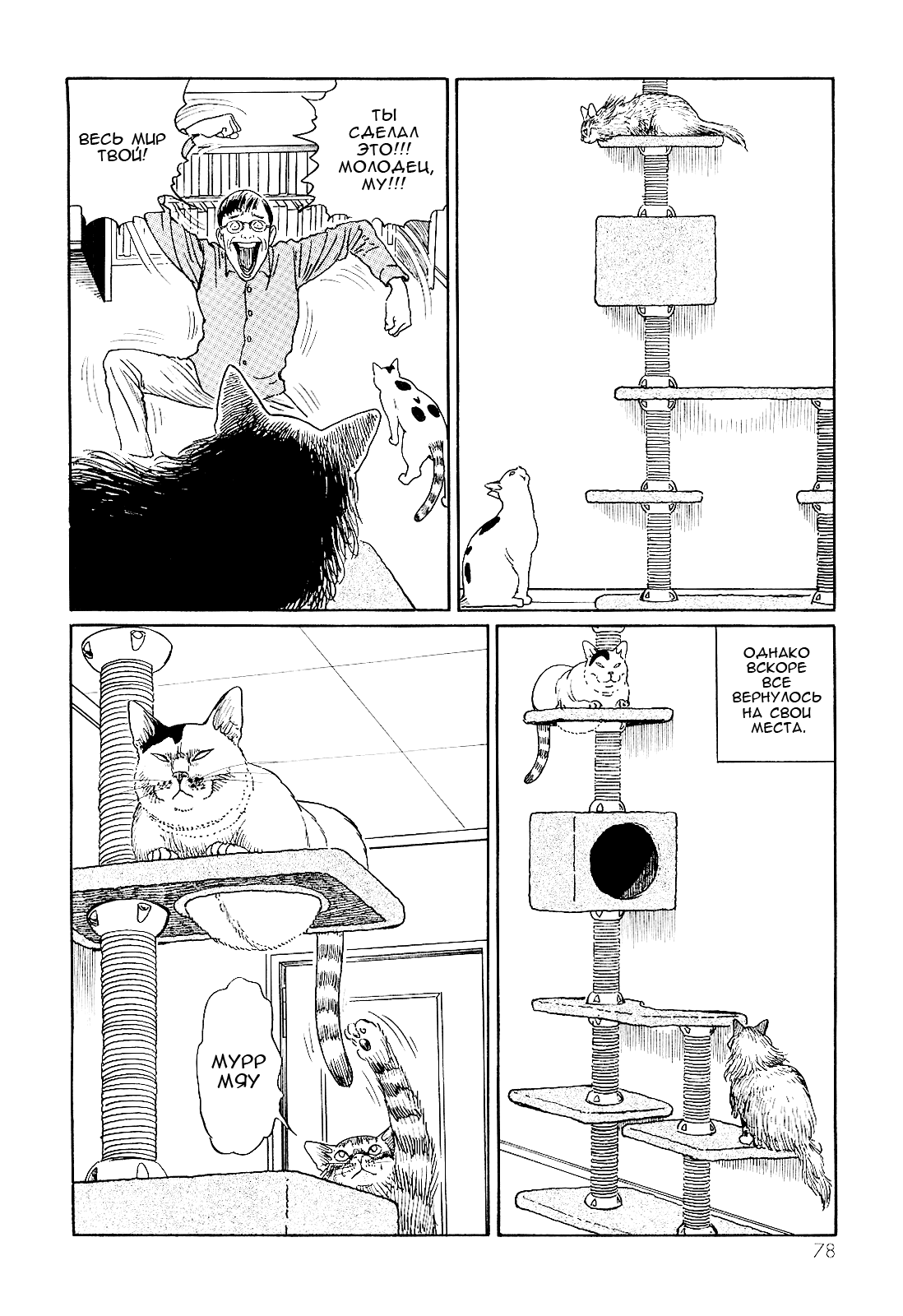 Манга Кошачий дневник Дзюндзи Ито: Ён и Му - Глава 7 Страница 11