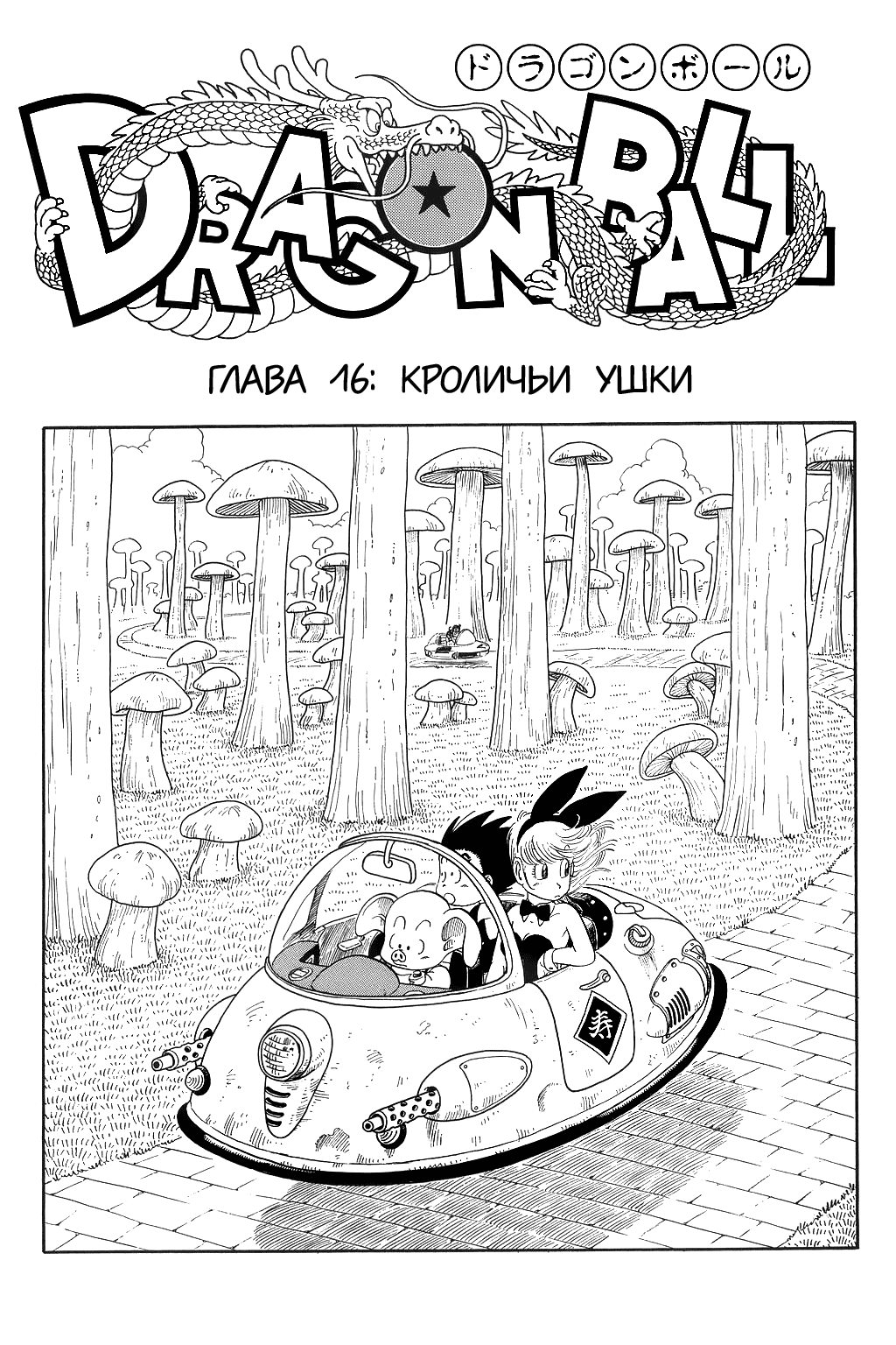 Манга Драгон Болл (Канзенбан) - Глава 16 Страница 1
